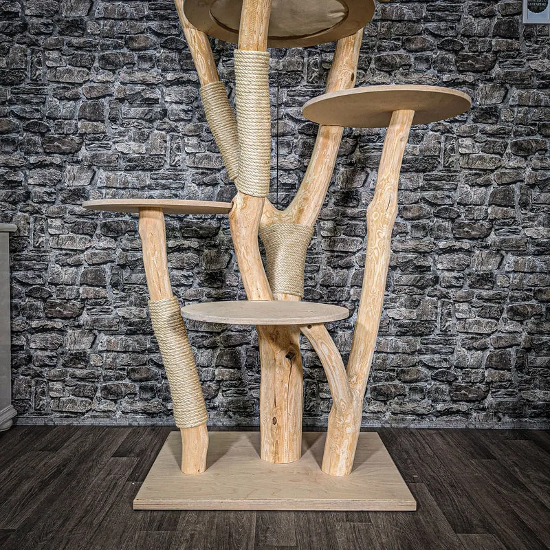 Naturkratzbaum 2526 Kratzbaum Natur Holz Design 205 cm hoch
