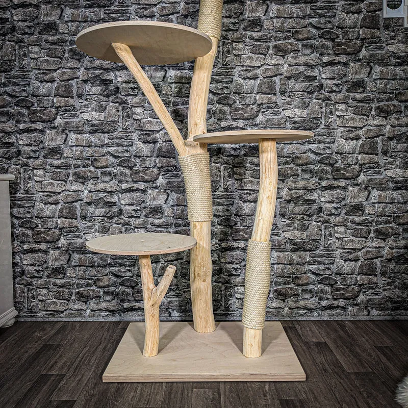 Naturkratzbaum 2470 Kratzbaum Natur Holz Design 170 cm hoch Katzenbaum