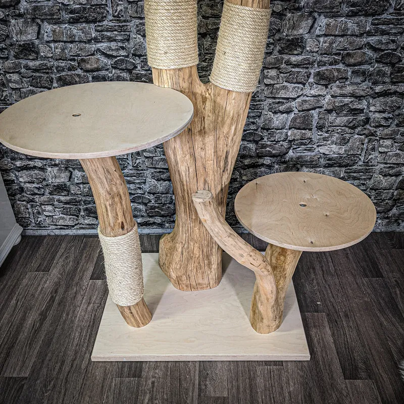 Naturkratzbaum 2289 Kratzbaum Natur Holz Design 175 cm hoch