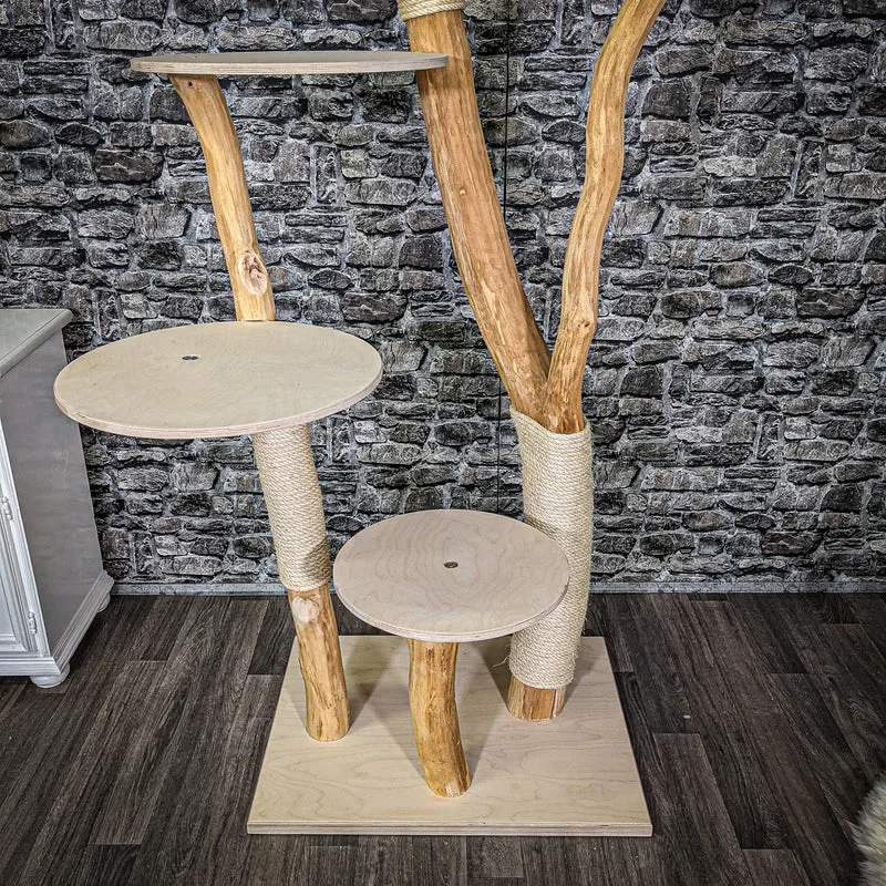 Naturkratzbaum 2288 Kratzbaum Natur Holz Design 215 cm hoch