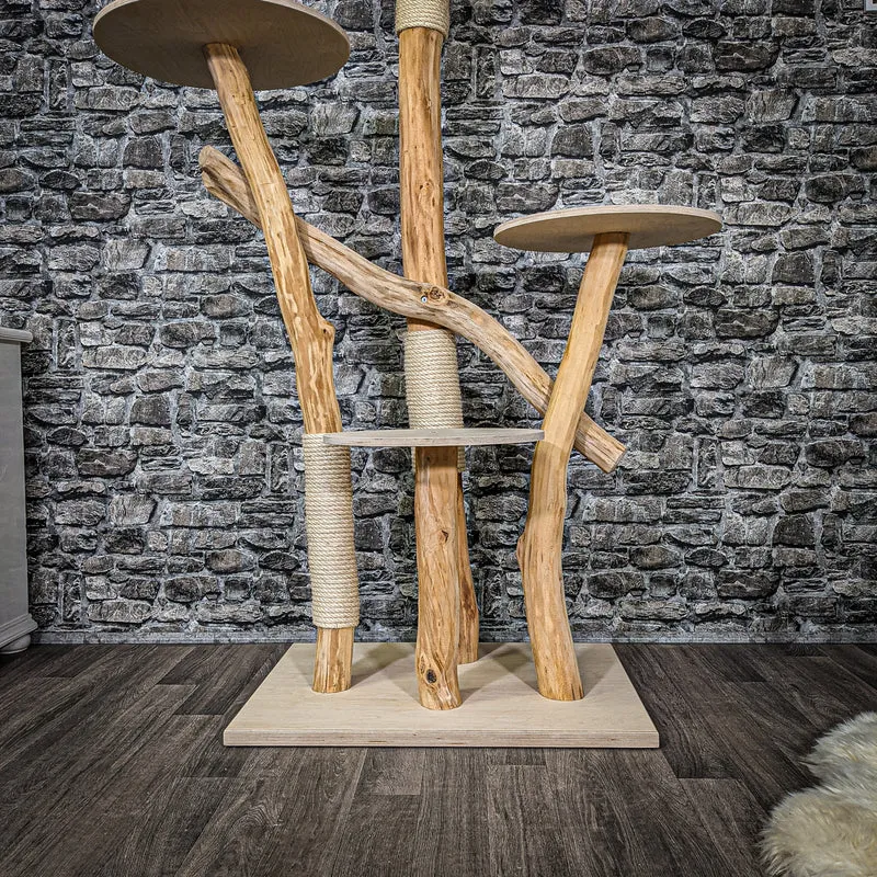 Naturkratzbaum 2283 Kratzbaum Natur Holz Design 170 cm hoch