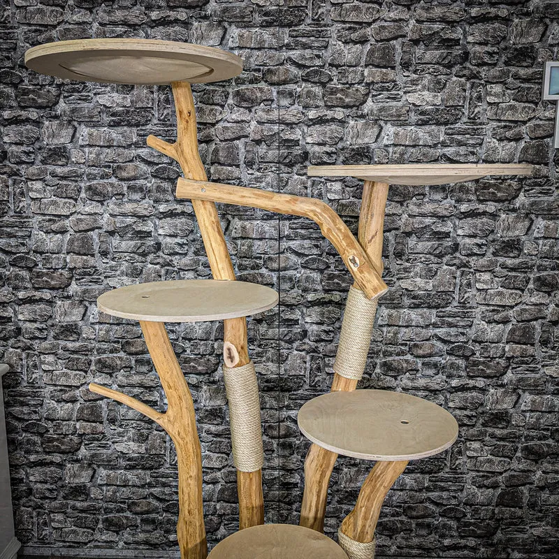 Naturkratzbaum 2282 Kratzbaum Natur Holz Design 178 cm hoch