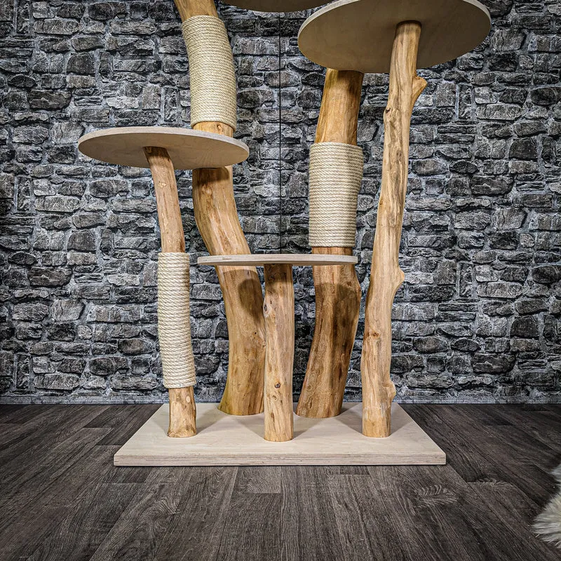 Naturkratzbaum 2264 Kratzbaum Natur Holz Design 165 cm hoch
