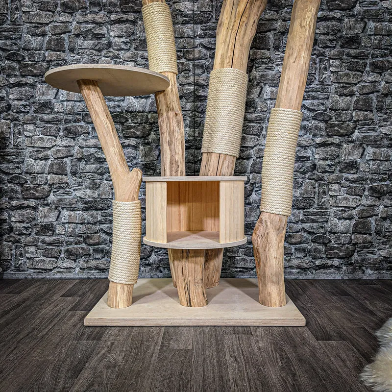 Naturkratzbaum 2263 Kratzbaum Natur Holz Design 210 cm hoch