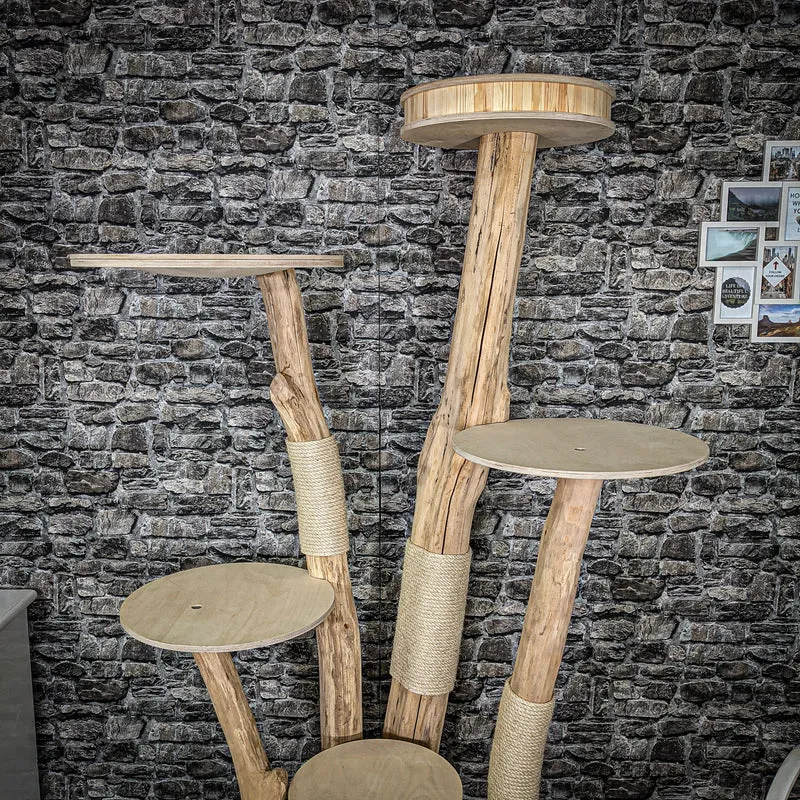 Naturkratzbaum 2263 Kratzbaum Natur Holz Design 210 cm hoch