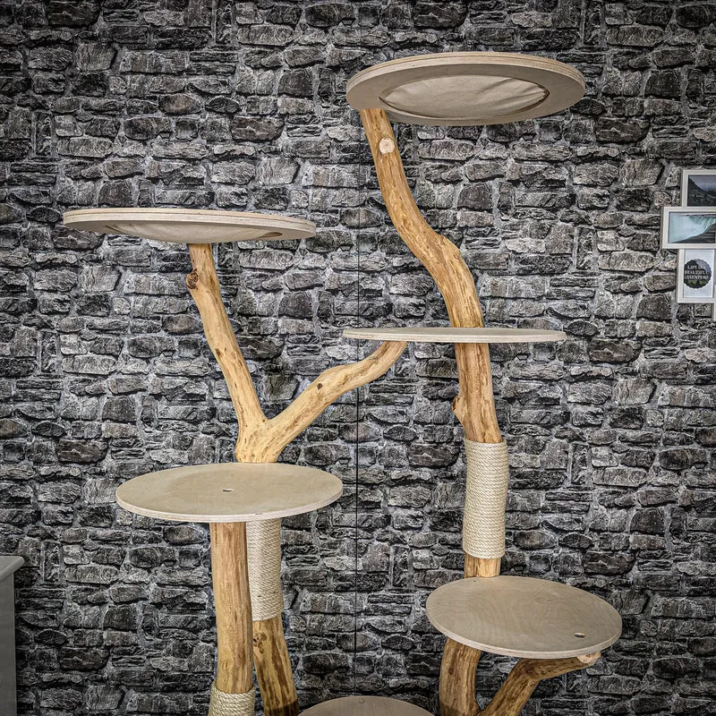 Naturkratzbaum 2262 Kratzbaum Natur Holz Design 210 cm hoch