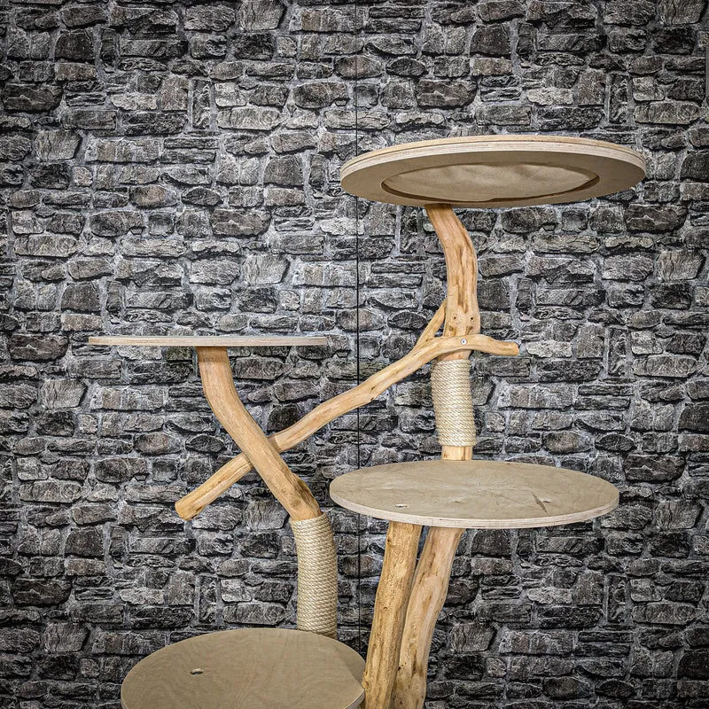 Naturkratzbaum 2260 Kratzbaum Natur Holz Design 145 cm hoch