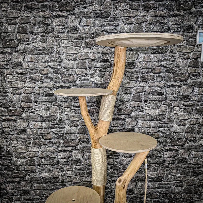 Naturkratzbaum 2252 Kratzbaum Natur Holz Design 170 cm hoch