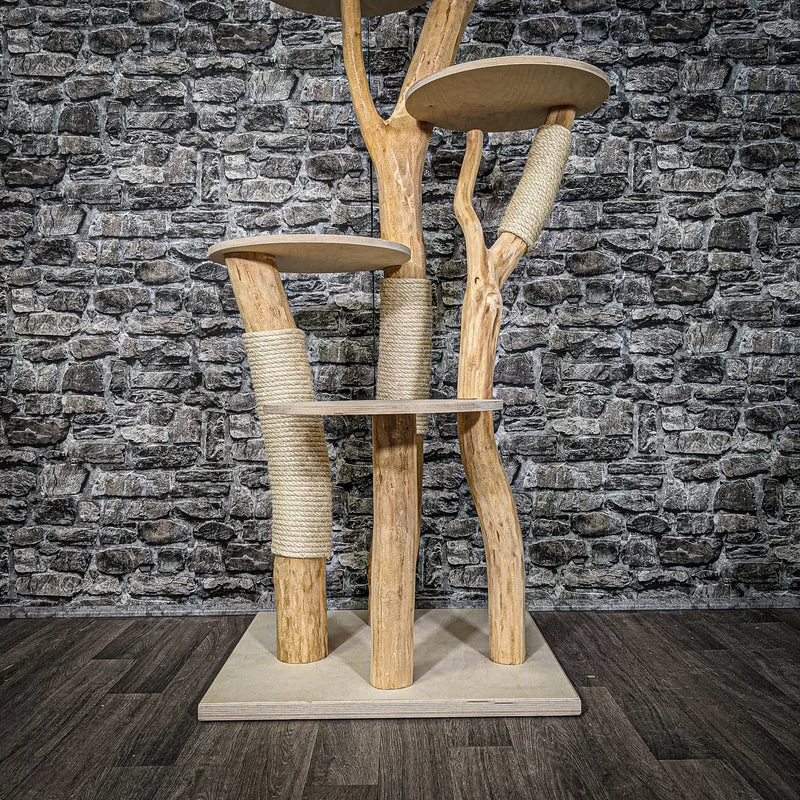 Naturkratzbaum 2255 Kratzbaum Natur Holz Design 170 cm hoch