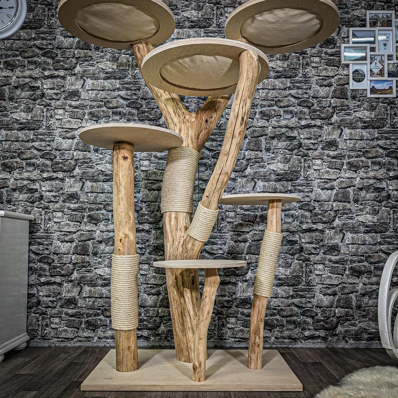 Naturkratzbaum 2245 Kratzbaum Natur Holz Design 175 cm hoch