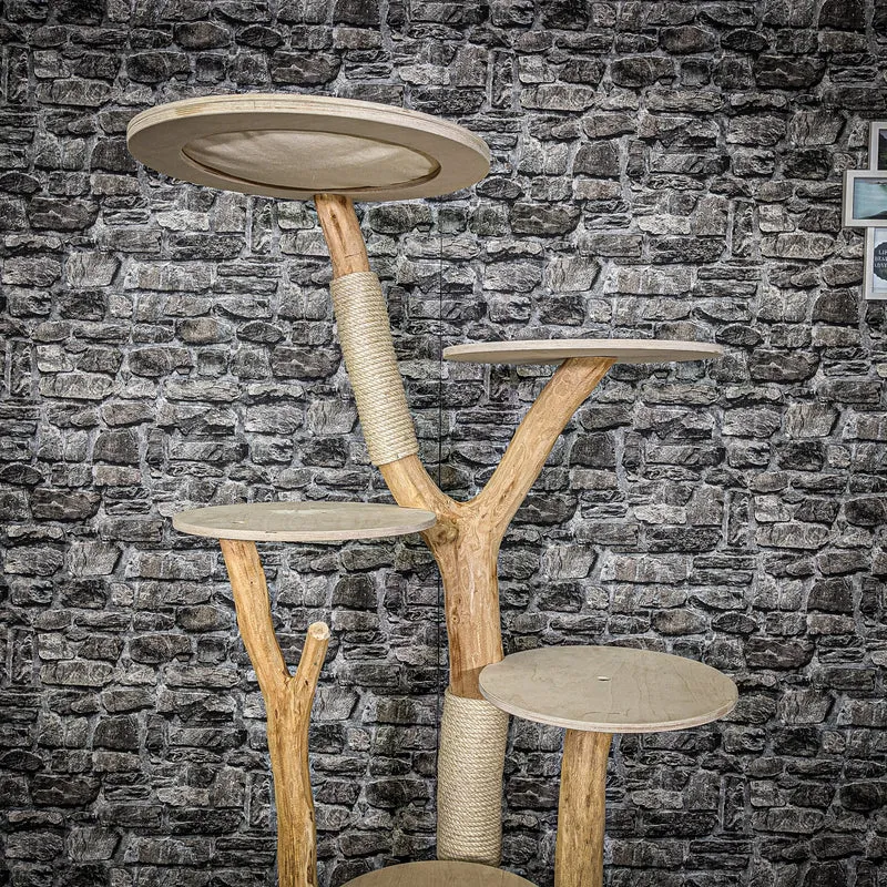 Naturkratzbaum 2234 Kratzbaum Natur Holz Design 175 cm hoch