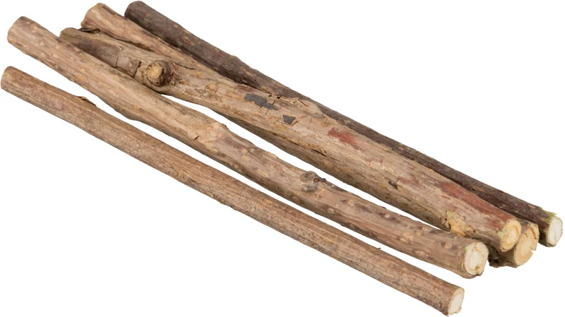 Matatabi Kaustangen