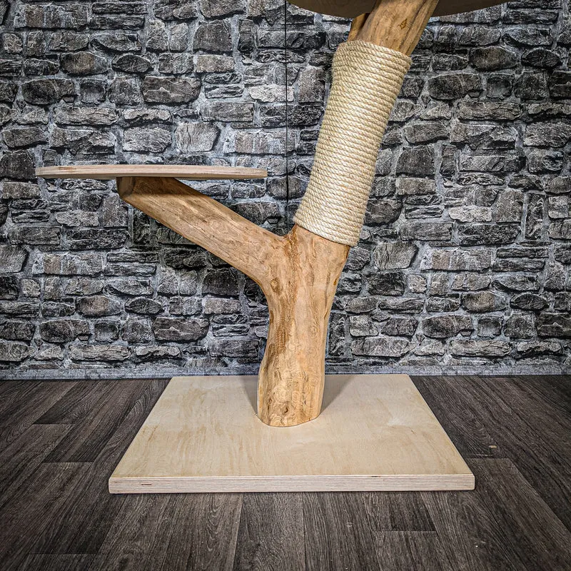 Naturkratzbaum 2439 Kratzbaum Natur Holz Design 92 cm hoch