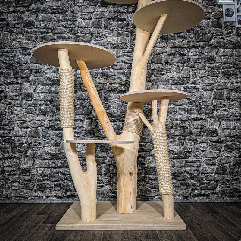 Naturkratzbaum 2446 Kratzbaum Natur Holz Design 172 cm hoch