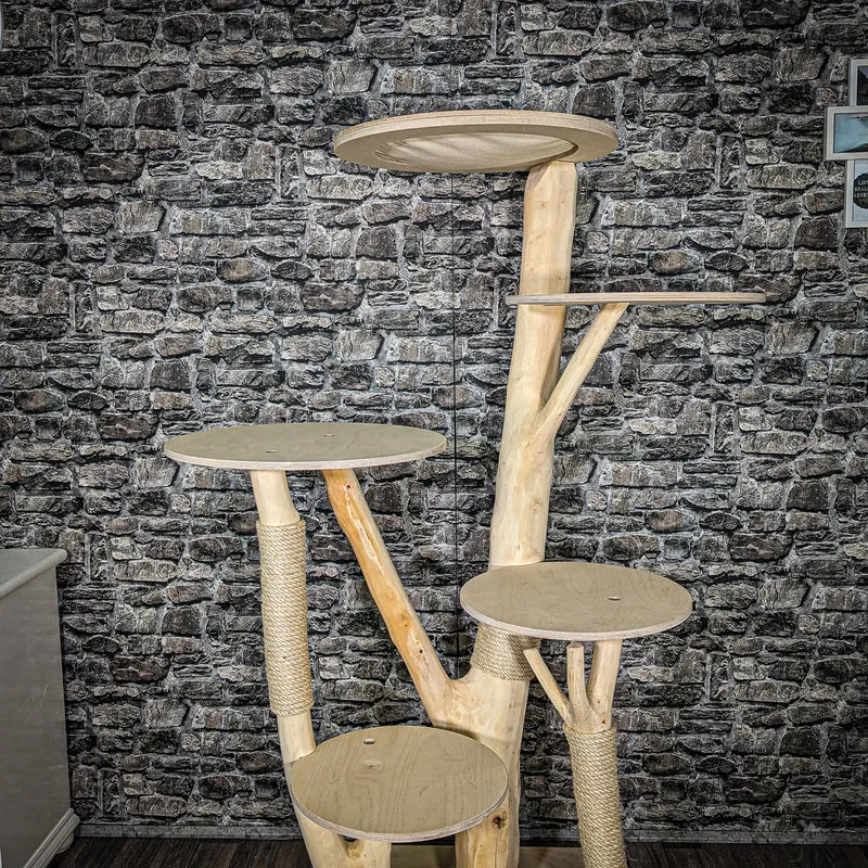 Naturkratzbaum 2446 Kratzbaum Natur Holz Design 172 cm hoch