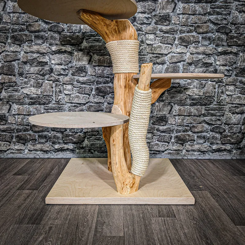 Naturkratzbaum 2453 Kratzbaum Natur Holz Design 88 cm hoch
