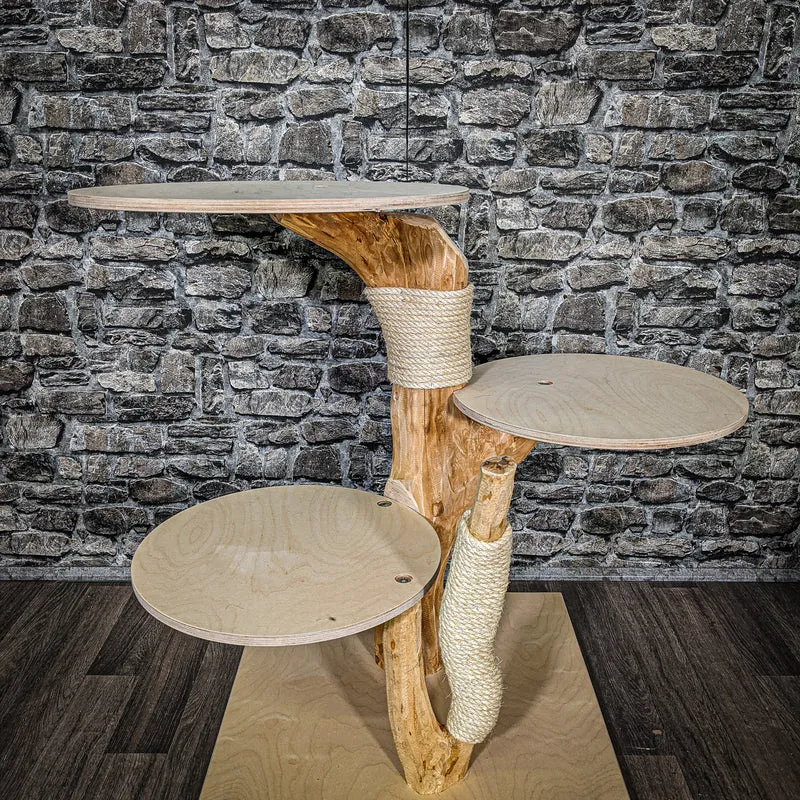 Naturkratzbaum 2453 Kratzbaum Natur Holz Design 88 cm hoch