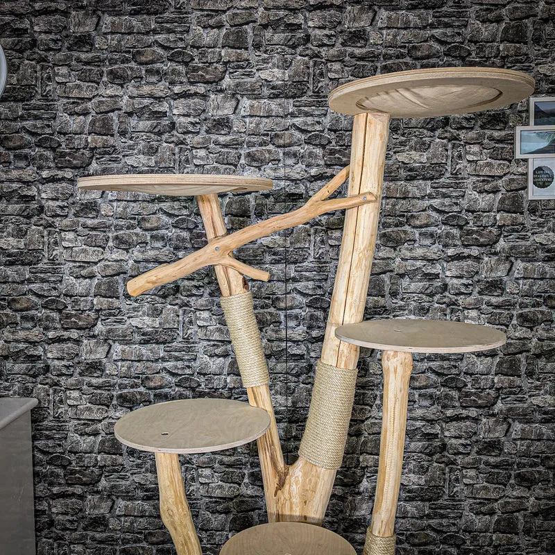 Naturkratzbaum 2460 Kratzbaum Natur Holz Design 184 cm hoch