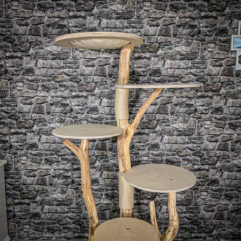Naturkratzbaum 2461 Kratzbaum Natur Holz Design 173 cm hoch Katzenbaum