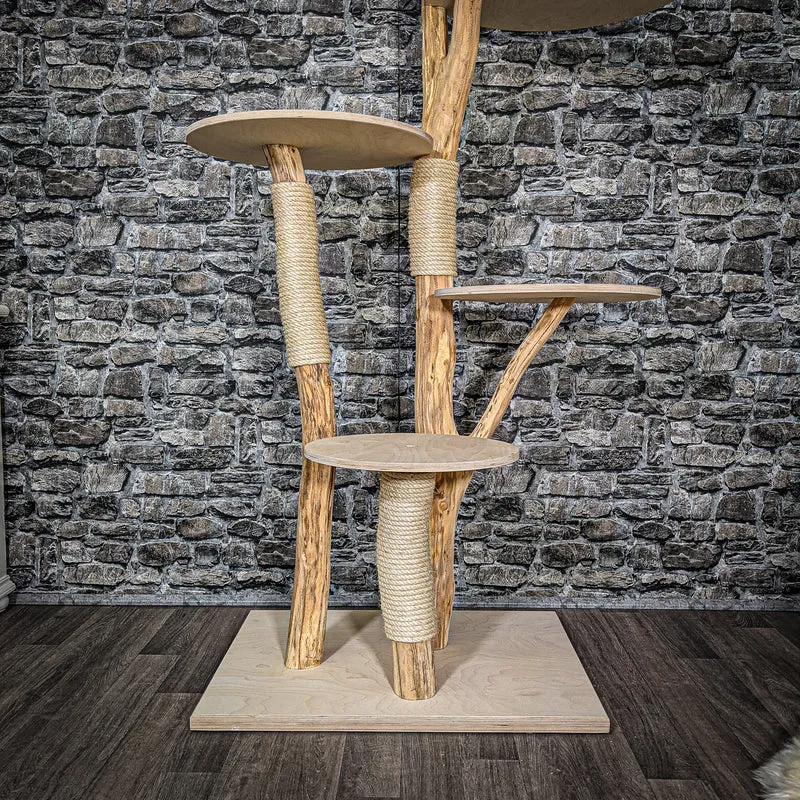 Naturkratzbaum 2462 Kratzbaum Natur Holz Design 176 cm hoch Katzenbaum