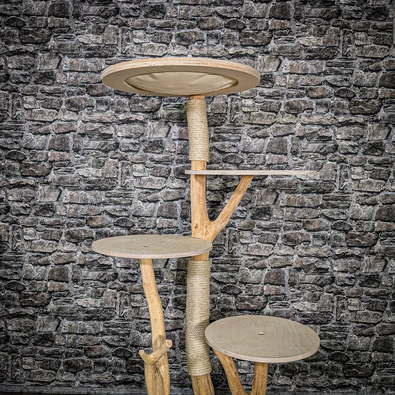 Naturkratzbaum 2464 Kratzbaum Natur Holz Design 143 cm hoch