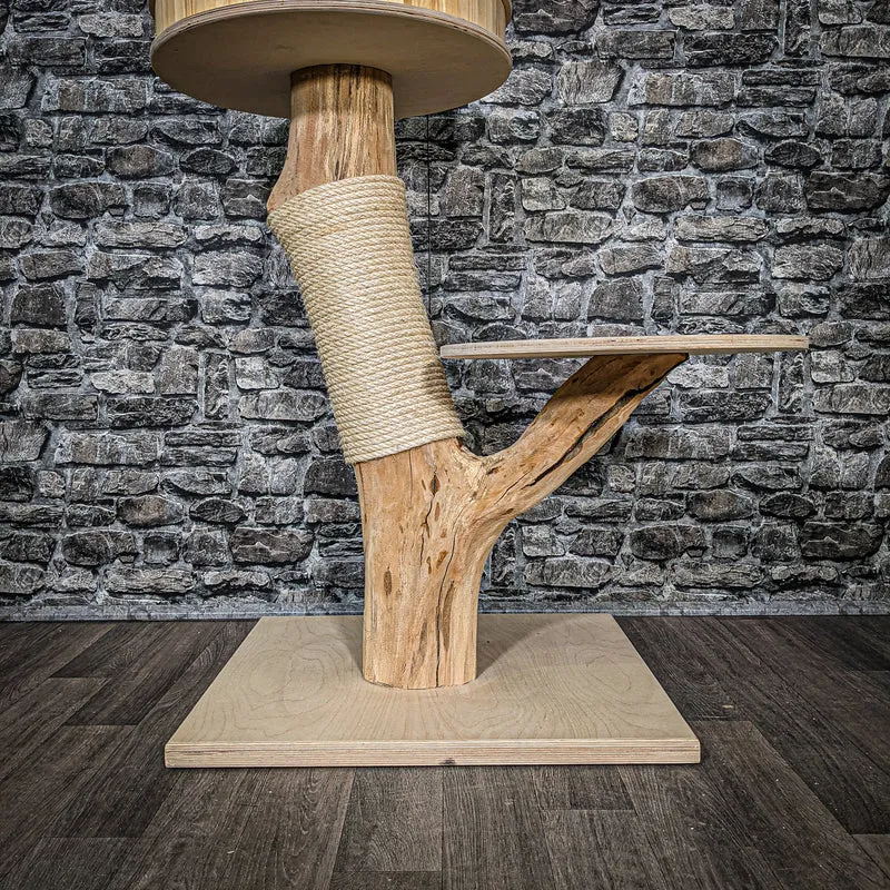 Naturkratzbaum 2465 Kratzbaum Natur Holz Design 90 cm hoch