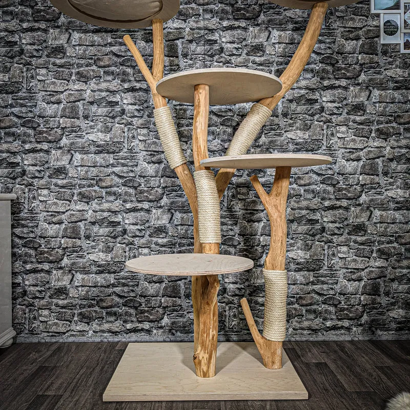 Naturkratzbaum 2427 Kratzbaum Natur Holz Design 165 cm hoch