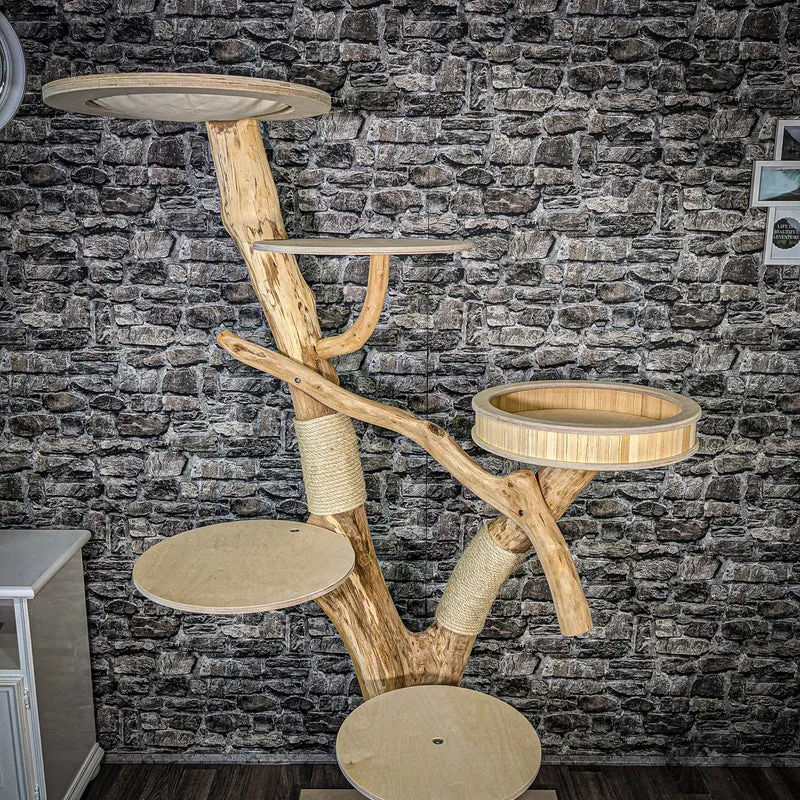 Naturkratzbaum 2396 Kratzbaum Natur Holz Design 195 cm hoch