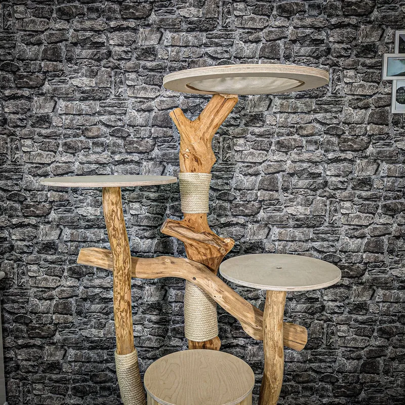 Naturkratzbaum 2402 Kratzbaum Natur Holz Design 165 cm hoch