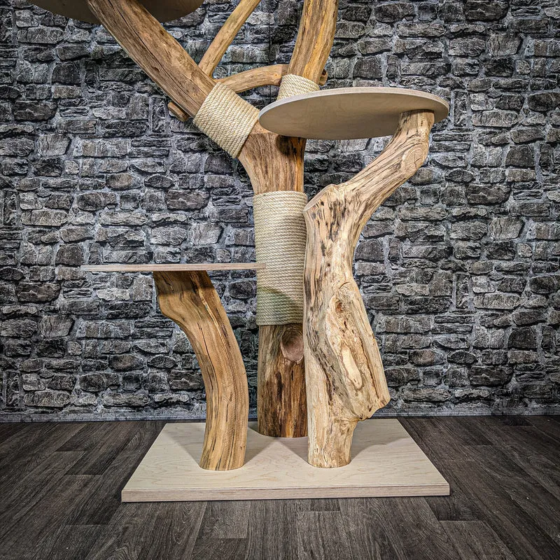 Naturkratzbaum 2403 Kratzbaum Natur Holz Design 171 cm hoch