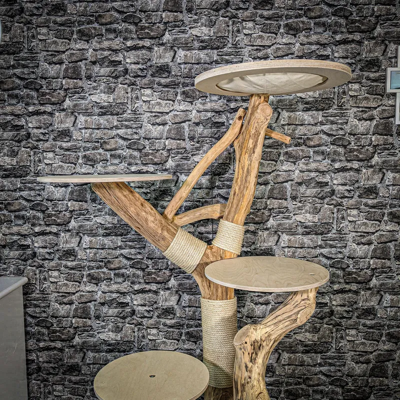 Naturkratzbaum 2403 Kratzbaum Natur Holz Design 171 cm hoch