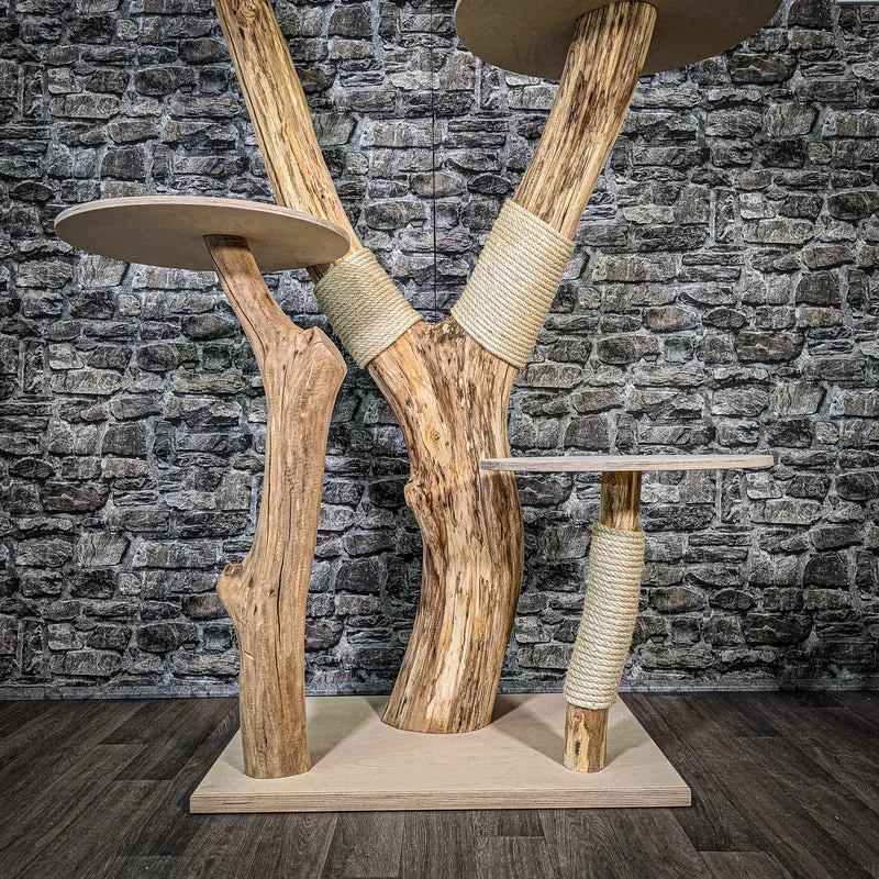 Naturkratzbaum 2404 Kratzbaum Natur Holz Design 167 cm hoch