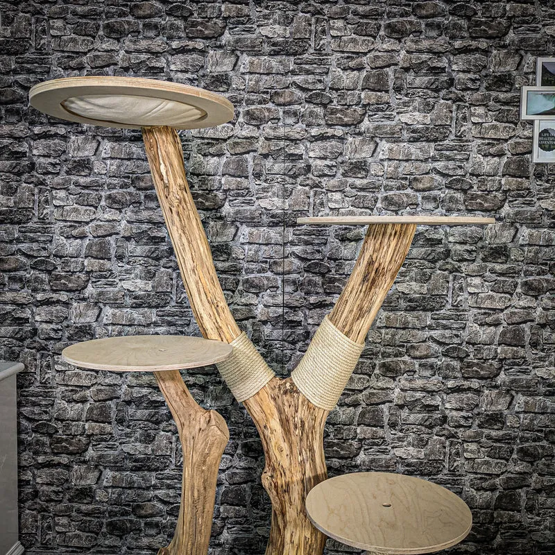 Naturkratzbaum 2404 Kratzbaum Natur Holz Design 167 cm hoch