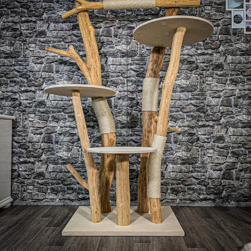 Naturkratzbaum 2407 Kratzbaum Natur Holz Design 195 cm hoch