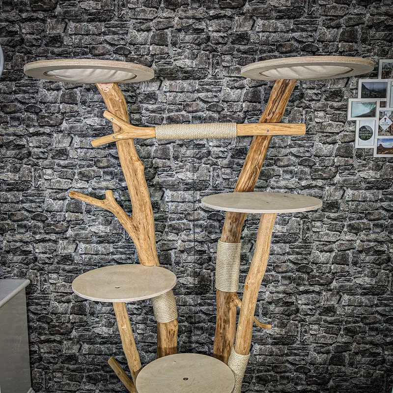 Naturkratzbaum 2407 Kratzbaum Natur Holz Design 195 cm hoch