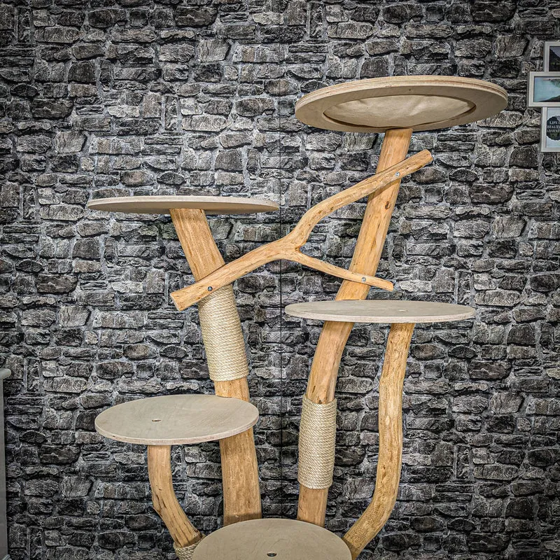 Naturkratzbaum 2377 Kratzbaum Natur Holz Design 165 cm hoch