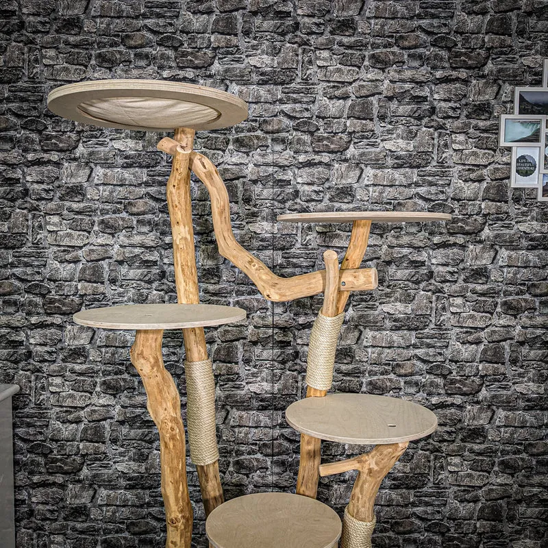 Naturkratzbaum 2374 Kratzbaum Natur Holz Design 175 cm hoch