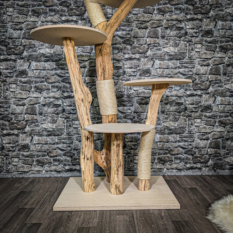 Naturkratzbaum 2373 Kratzbaum Natur Holz Design 174 cm hoch
