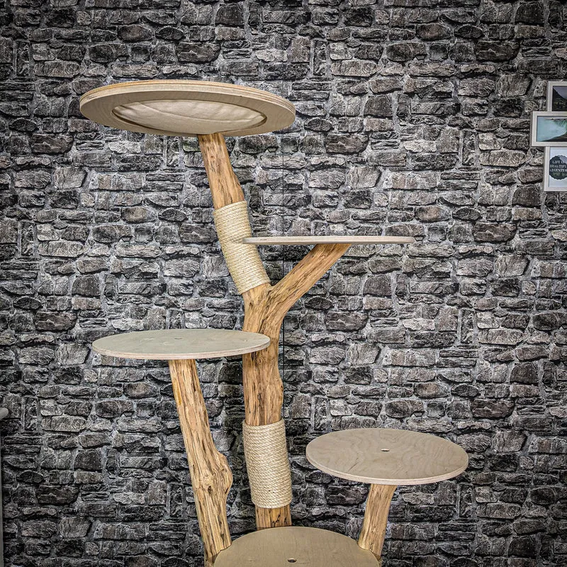 Naturkratzbaum 2373 Kratzbaum Natur Holz Design 174 cm hoch