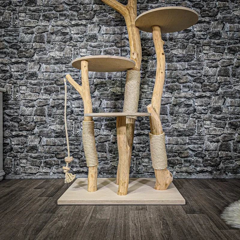Naturkratzbaum 2231 Kratzbaum Natur Holz Design 160 cm hoch