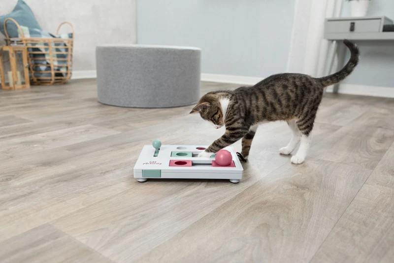 Brain Mover Strategiespiel für Katzen mit 4 Spielmodulen zum Ziehen, Schieben & Schubsen
