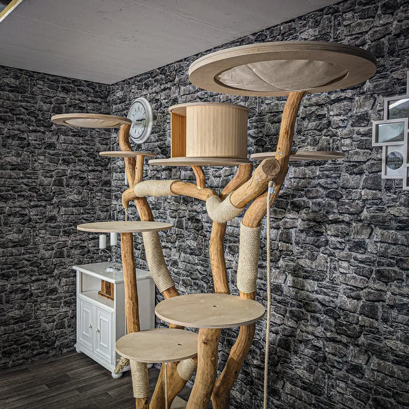 Naturkratzbaum 2214 Kratzbaum Natur Holz Design 205 cm hoch