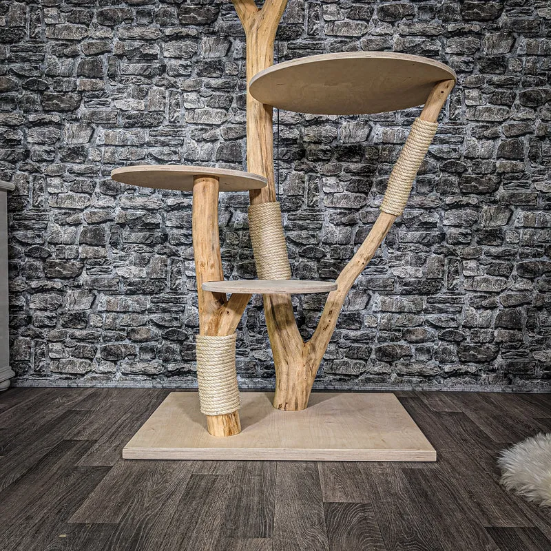 Naturkratzbaum 2206 Kratzbaum Natur Holz Design 165 cm hoch