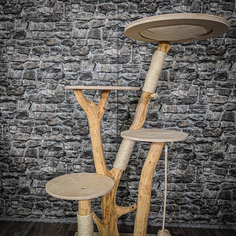 Naturkratzbaum 2201 Kratzbaum Natur Holz Design 145 cm hoch