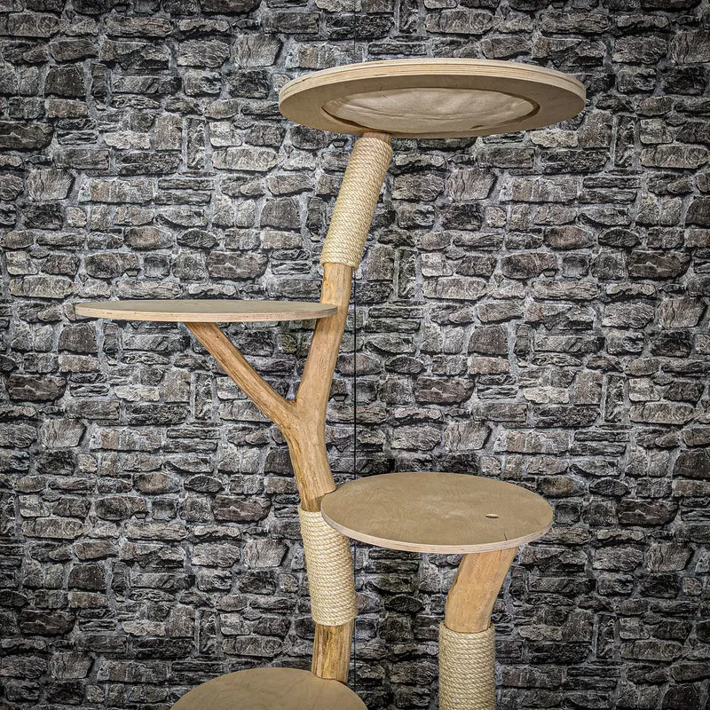 Naturkratzbaum 2192 Kratzbaum Natur Holz Design 175 cm hoch