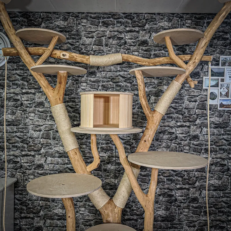 Naturkratzbaum 2169 Kratzbaum Natur Holz Design 242 cm hoch