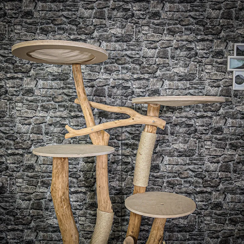 Naturkratzbaum 2164 Kratzbaum Natur Holz Design 175 cm hoch