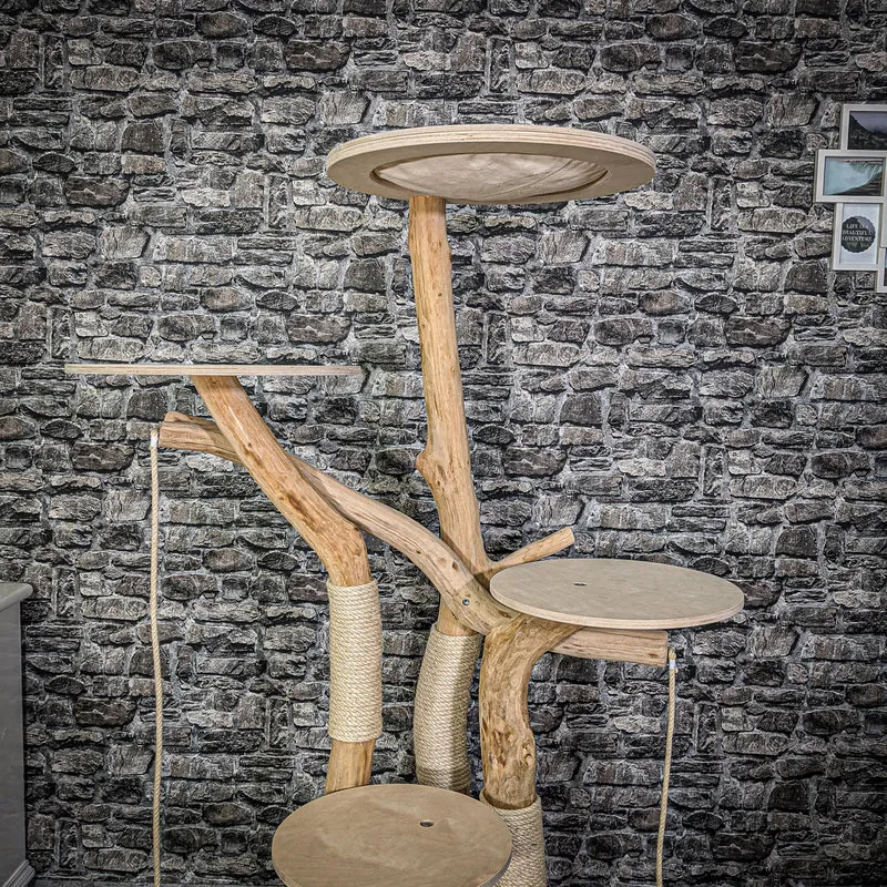 Naturkratzbaum 2154 Kratzbaum Natur Holz Design 170 cm hoch