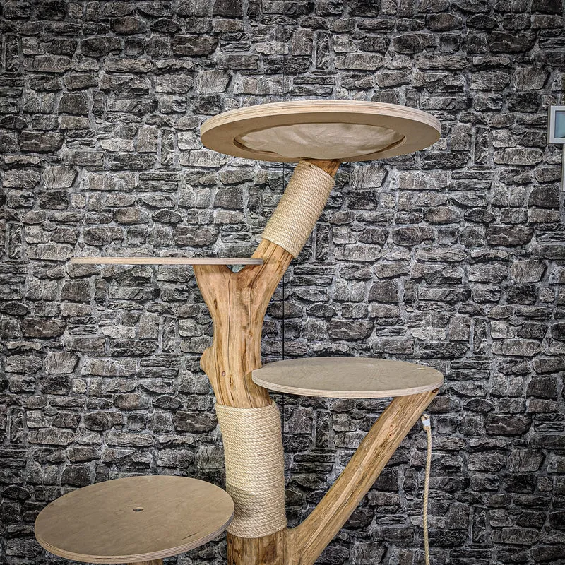 Naturkratzbaum 2148 Kratzbaum Natur Holz Design 165 cm hoch