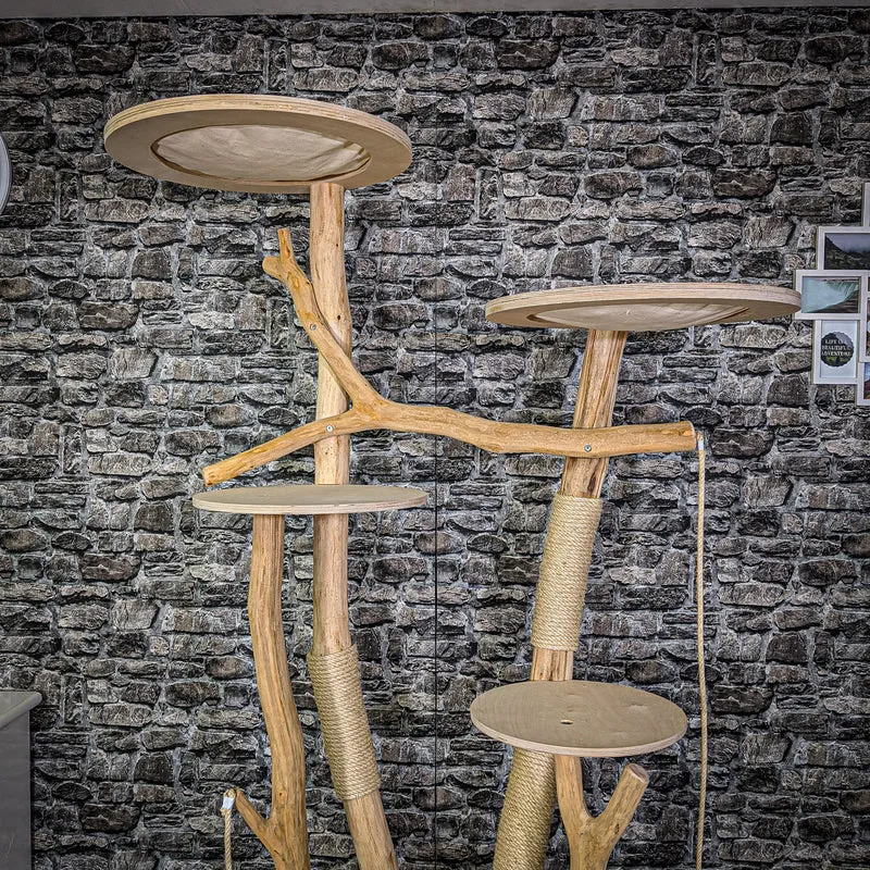Naturkratzbaum 2147 Kratzbaum Natur Holz Design 200 cm hoch